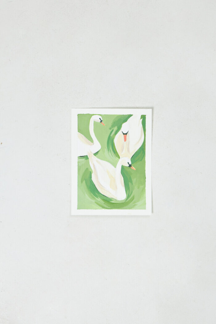 Mann Studio "Swans" Postcard 3